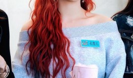 小雅姐姐爆料视频大全集,揭秘幕后真相与精彩瞬间