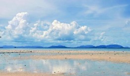 娱乐爆料文案夏天小裙子,时尚小裙子，解锁清凉穿搭新潮流