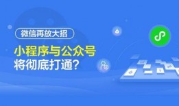 广电爆料新闻箱小程序,揭秘娱乐圈幕后故事