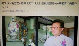 华人专访爆料视频大全,视频大全背后的精彩故事