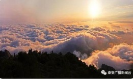 泰山歌视频爆料,一场震撼视听的视听盛宴