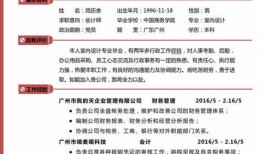 爆料新闻简介范文怎么写,爆料新闻背后的真相与影响