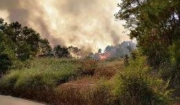 桂平最新爆料消息视频,视频揭秘惊人内幕！