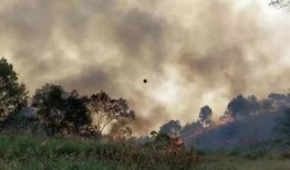 桂平最新爆料消息视频,视频揭秘惊人内幕！