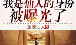 神仙客栈最新爆料小说,揭秘神秘仙侠世界，探寻宿命奇缘