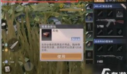 代号白最新爆料,揭秘神秘事件背后真相