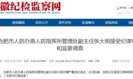 合肥市新闻爆料,多起事件引发社会关注