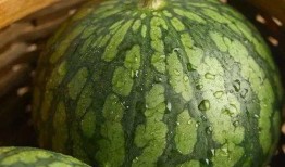 免费可选择吃瓜,揭秘网络时代的娱乐狂欢