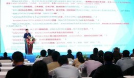 刺客新配色爆料视频大全,视觉盛宴，色彩斑斓的刺客世界大揭秘