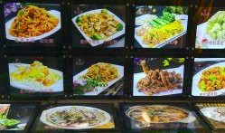 凌源美食爆料视频下载大全,视频下载大全带你领略地道风味