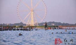 亲水爆料视频在线观看,揭秘幕后真相，带你走进事件核心