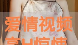 高h视频在线观看,探索高h视频的在线观看之旅