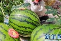 更多网红吃瓜爆料群,揭秘娱乐圈幕后真相