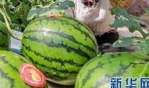 更多网红吃瓜爆料群,揭秘娱乐圈幕后真相
