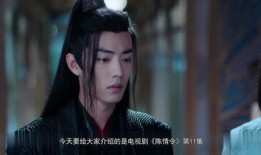 陈情令38集在线观看,揭秘神秘事件，兄弟情谊再升级