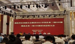 中信集团爆料新闻报道,揭开神秘面纱，深度解析集团内部新闻