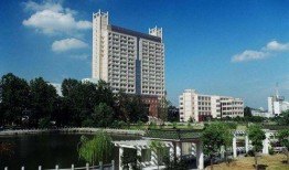 三太生日爆料视频大全下载,精彩瞬间回顾