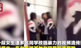 大连女孩爆料事件视频,真相与争议交织的悬疑剧