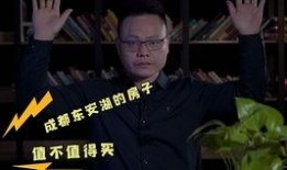 东北小哥爆料完整视频,完整视频背后的惊人真相