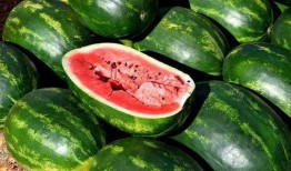 吃免费瓜群,揭秘吃瓜群背后的狂欢世界