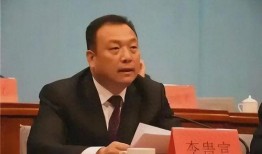 县委书记爆料新闻事件,揭开新闻事件背后真相