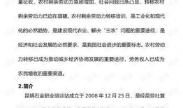 爆料新闻简介范文怎么写,爆料新闻背后的真相与影响