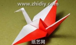 千纸鹤最新爆料视频大全,精彩瞬间尽收眼底