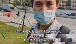 爆料网红辛巴视频,揭秘网红背后的真相