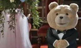 圈内泰迪爆料图片,揭秘明星私照背后的故事