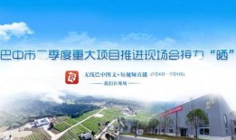 巴中爆料热点新闻,揭秘热点事件背后的真相