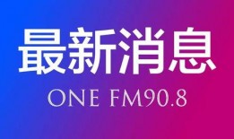 合肥天鹅湖最新爆料新闻,揭秘最新爆料背后的真相