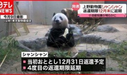 美国人爆料熊猫视频播放