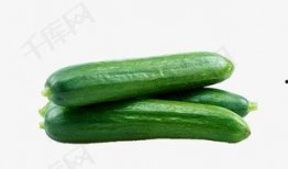 婷儿户外免费吃瓜,婷儿户外免费畅享夏日瓜果盛宴