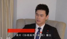 王斌爆料张艺谋事件视频,王斌揭露惊人内幕