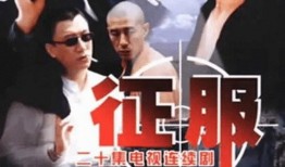 电视剧征服在线观看,权谋与情感交织的官场风云