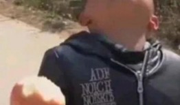 范小勤最新爆料资本,揭秘资本生成背后的秘密与挑战