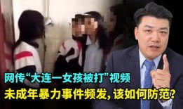 大连女孩爆料事件视频,真相与争议交织的悬疑剧