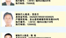 深圳刘先生最新爆料完整,揭秘事件背后惊人真相