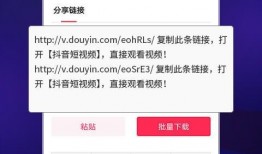 非匿名指令最新爆料视频,非匿名指令背后惊人真相