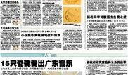 新闻报爆料,揭秘重大事件背后惊人真相