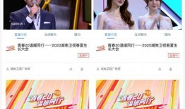 蓝海员工爆料视频播放网站,视频播放网站幕后真相曝光