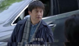 黄磊爆料王讯了吗视频播放,视频播放背后的真相曝光