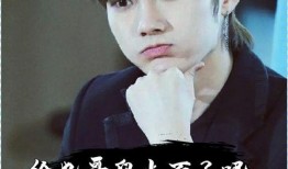 爆料娱乐圈姚琛,揭秘明星背后的故事与成长历程