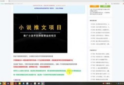 视频爆料玩法介绍,轻松上手，畅享互动新体验