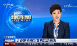 张掖记者爆料新闻视频