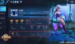 王者之神最新爆料视频,神秘英雄登场，游戏格局再掀风云