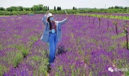 胶州市新闻爆料,突发事件引发关注，市民热议！