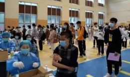 中国李宁爆料视频最新消息,品牌新动向与未来规划