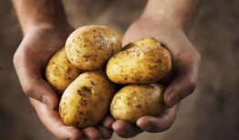 变蚊人土豆网在线观看,土豆网独家上线，惊悚科幻巨制等你揭秘