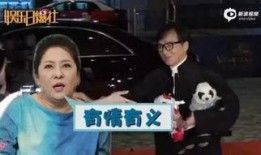 天涯八卦爆料成龙情事视频,揭秘娱乐圈“大哥”背后的情感纠葛
